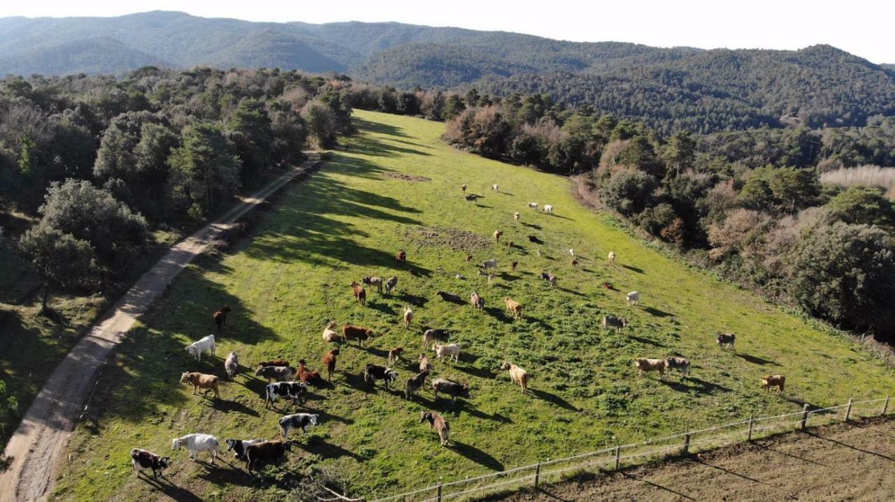 Brugarolas Village Castelltercol Luaran gambar